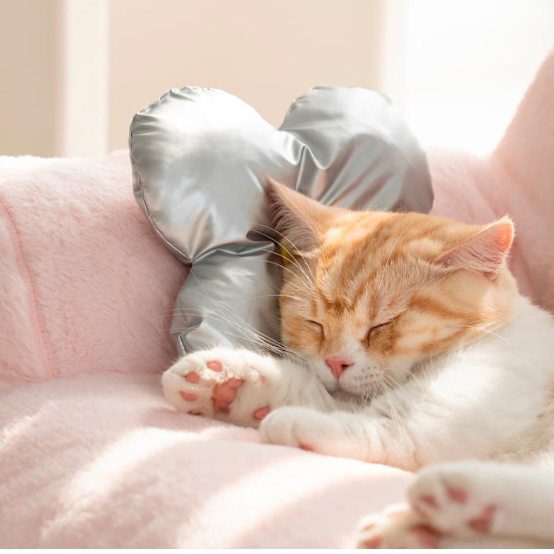 LuxuryPet™ | Sofá Antiestrés Extra suave para Mascotas.